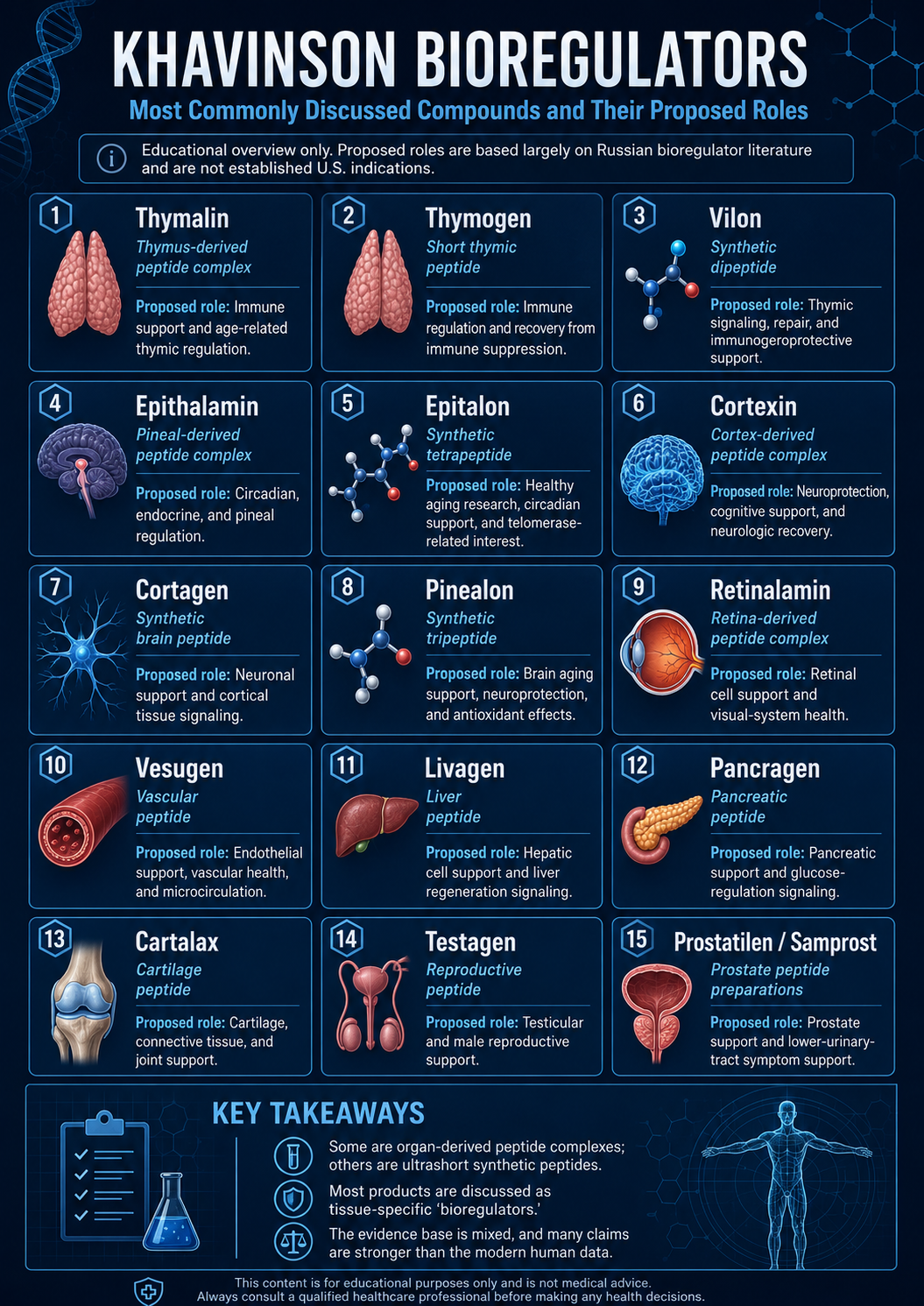 Khavinson bioregulators infographic — commonly discussed peptide compounds and their proposed roles
